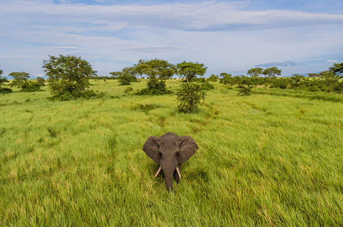 Uganda National Parks