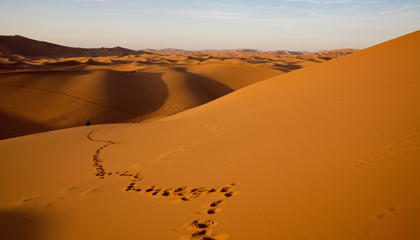 Sahara Desert